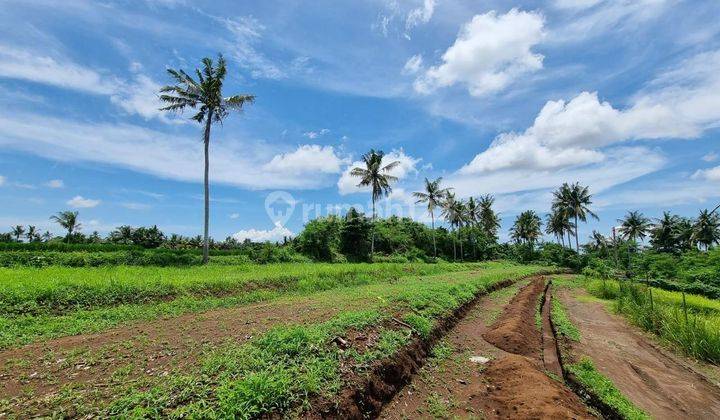 For Sale Exclusive Plot of Land Suitable for Villa Area 276 M2 in Lodtunduh Ubud 2