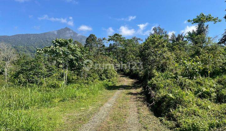 Dijual Tanah Kawasan Gunung Sari Jatiluwih Cocok Untuk Investasi 2