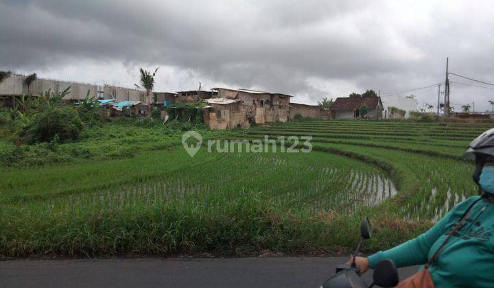 Dijual Tanah Premium di Tabanan Cocok Untuk Villa 1