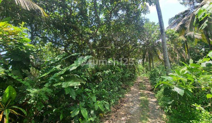 Commercial Land In Balian With Best Location And Best Ocean View 2