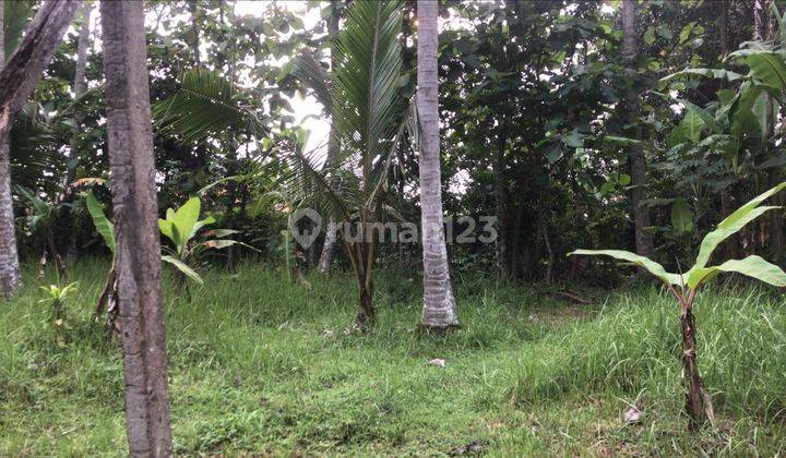 Dijual Lahan Murah View Sawah Tabanan  2