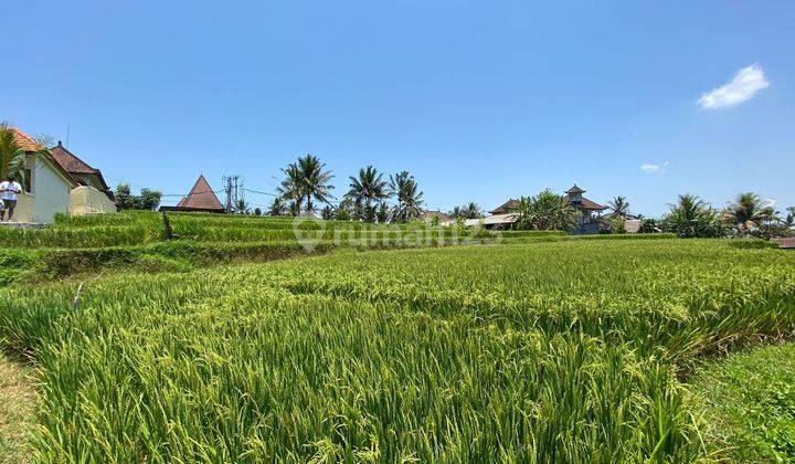 Freehold Land Kenderan Ubud with Amazing View 1