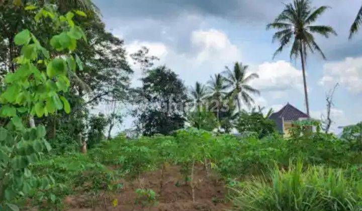 Dijual Tanah Kalisari Sby 1