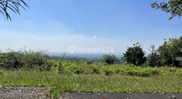Disewakan Kavlingan Halimun Fajar Taman Dayu Pandaan  1