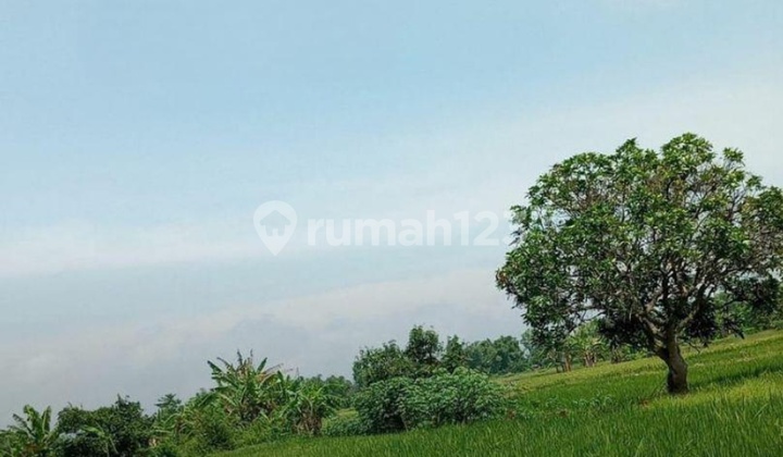 Dijual Kavlingan Mbeton Domas Gresik  1