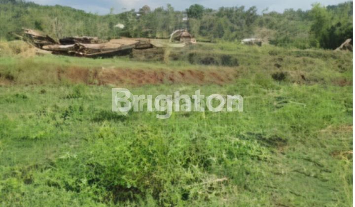 FOR SALE CHEAP LARGE LAND IN GOWA REGENCY MAKASSAR SOUTH SULAWESI FOR SALE CHEAP LARGE LAND IN GOWA REGENCY MAKASSAR SOUTH SULAWESI