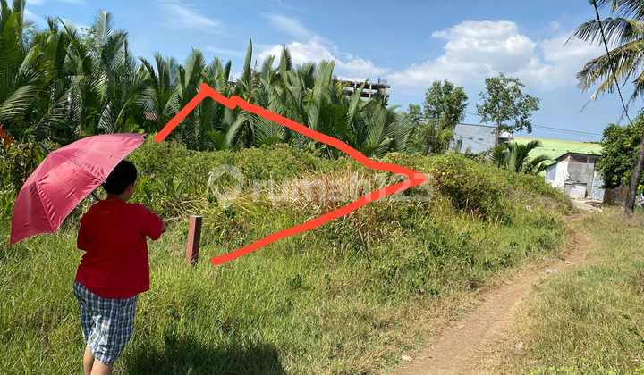 Sebidang Tanah Dibelakang Unhas