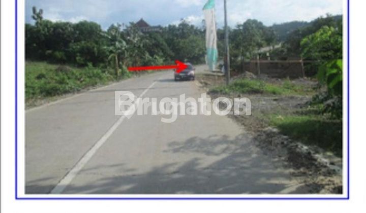 FOR SALE CHEAP LARGE LAND IN GOWA REGENCY MAKASSAR SOUTH SULAWESI FOR SALE CHEAP LARGE LAND IN GOWA REGENCY MAKASSAR SOUTH SULAWESI