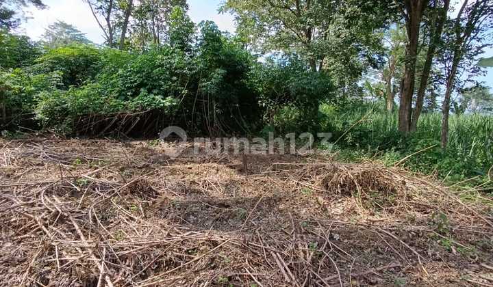 Land in Malang City Land in Malang City