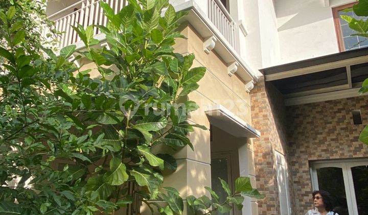 For Rent: Ready-to-Occupy House in Kusuma Bangsa, Central Surabaya, Suitable for Office, Clinic, Cafe For Rent: Ready-to-Occupy House in Kusuma Bangsa, Central Surabaya, Suitable for Office, Clinic, Cafe
