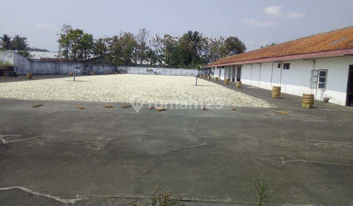 Tanah Luas Dan Bangunan Di Kabupaten Magelang Dengan View Sawah 1