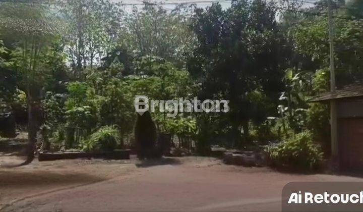 TANAH BLITAR - KEDIRI LOKASI STRATEGIS 1