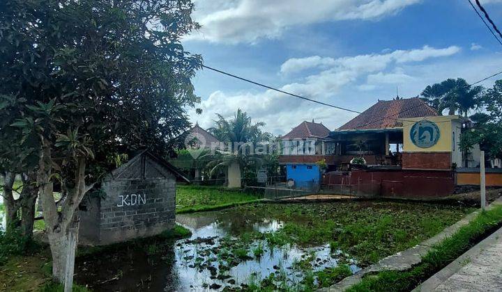 Tanah SHM Lokasi Strategis Dekat Pantai Keramas Gianyar 2