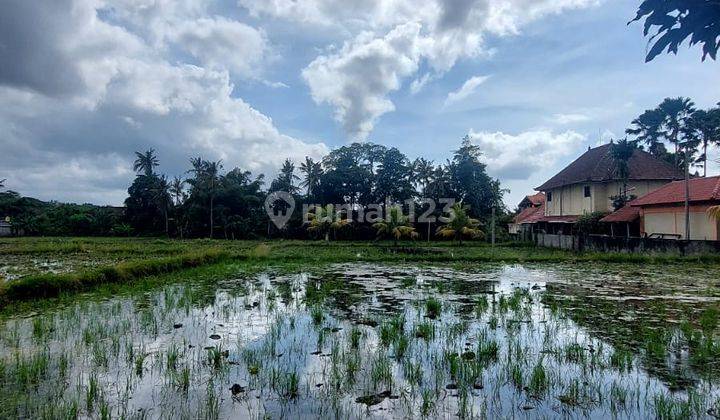 Tanah SHM Lokasi Strategis Dekat Pantai Keramas Gianyar 1