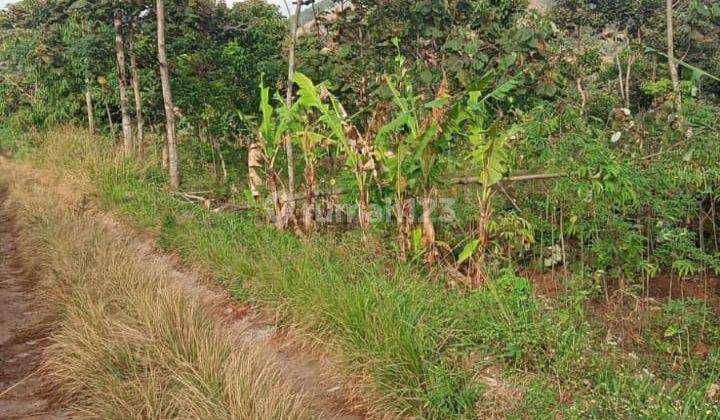 Dijual Murah Tanah Shm Mainroad Pemukiman Perkotaan Kab Bandung 2