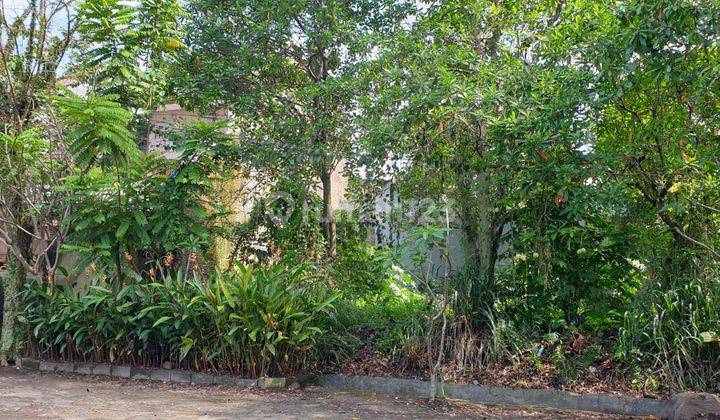 Tanah cantik,langka nih di Taman Holis Indah Bandung,masih nego  2