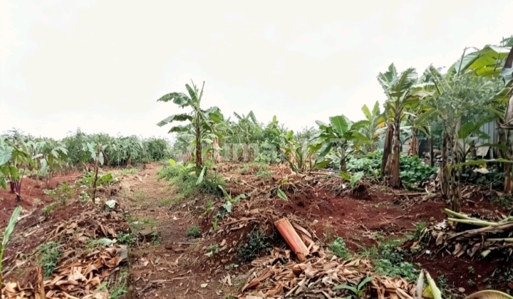 For Rent: Land in Dicikunir, South Bekasi For Rent: Land in Dicikunir, South Bekasi