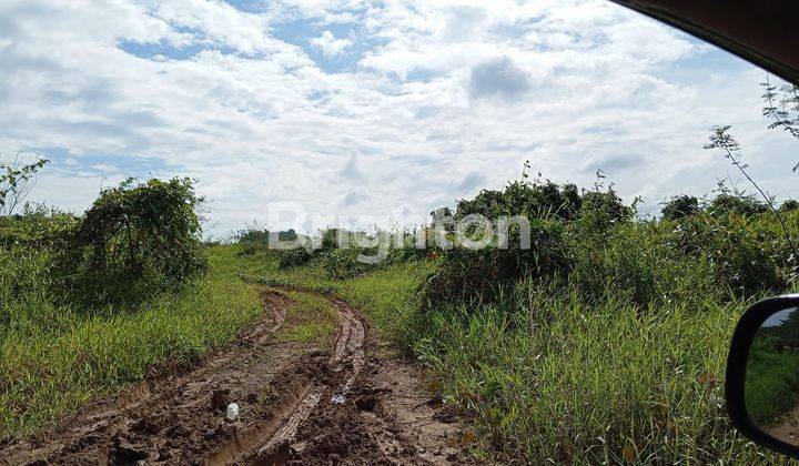 TANAH LUAS 1 HA SIAP BANGUN 1