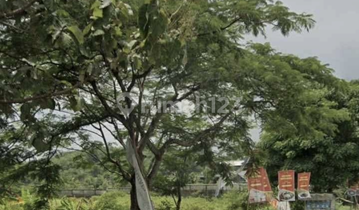 For Sale Land in Beber, Adjacent to Provincial Road, Cirebon Regency
