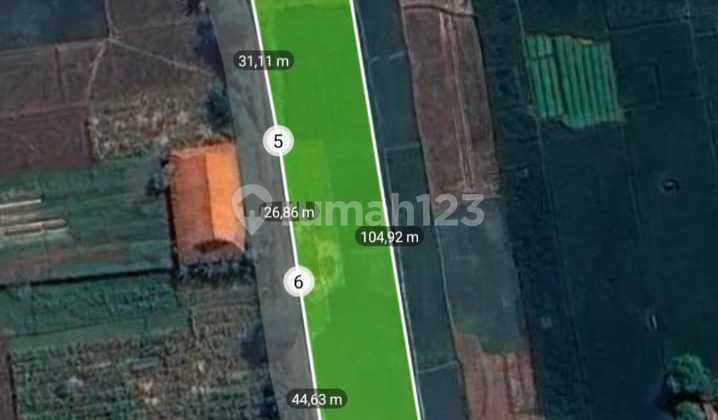 Jual Tanah Sawah SHM Jatiwangi Majalengka Ranji Wetan Jual Tanah Sawah SHM Jatiwangi Majalengka Ranji Wetan