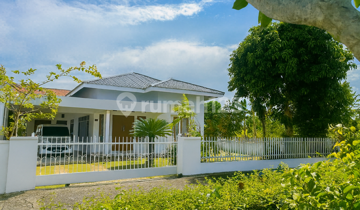 Quick Sale, Spacious Shaded Comfortable House, Blessed Buyer