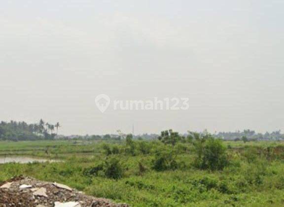 Dijual Tanah Disepatan Lebak Wangi Tanggerang banten 2