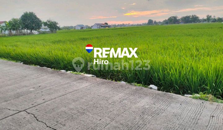 Dijual Tanah Persawahan Produktif Area Kiaralawang , Karangpawitan, Karawang Barat Dijual Tanah Persawahan Produktif Area Kiaralawang , Karangpawitan, Karawang Barat