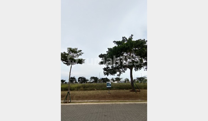 Brooklyn Commercial Plot PIK 2 Size 450m2 15x30 Brooklyn Commercial Plot PIK 2 Size 450m2 15x30