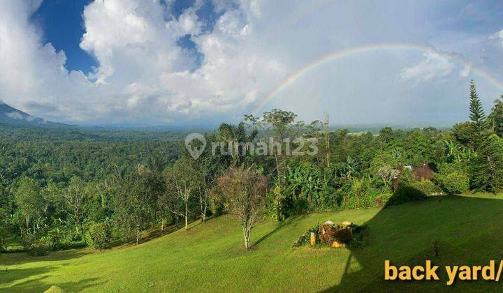 Villa Jatiluwih View Coffee And Forest For Sale Cheap 2