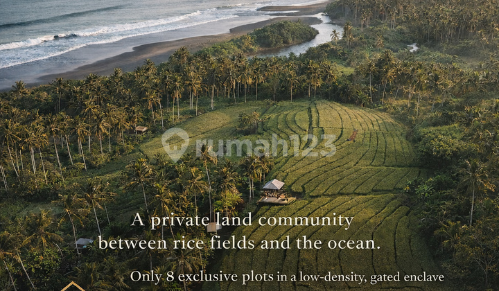 Tanah Dijual Dekat Pantai Dan Sawah Bali