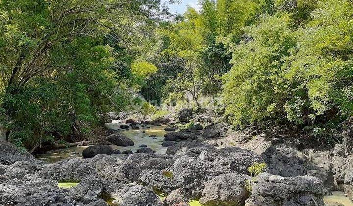 Dijual Tanah Los sungai Di Selemandeg SHM  1