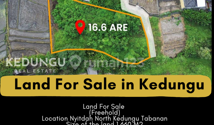 Land For Sale In Nyitdah Kedungu