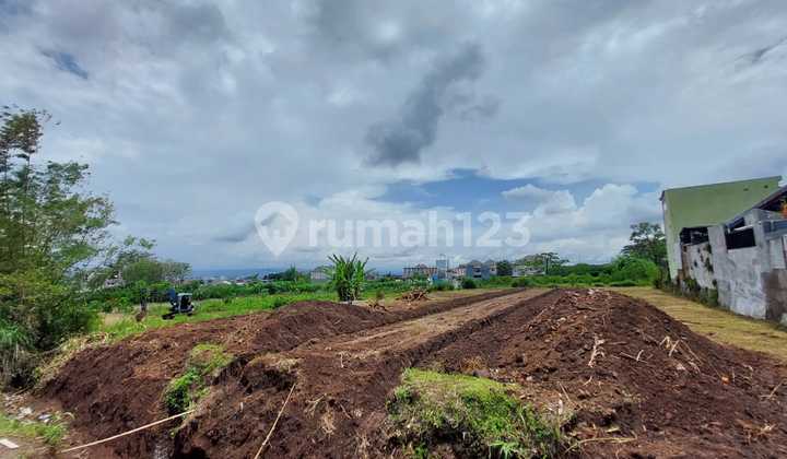Rukost Ready to Build; Income Guarantee 264 million* Student Area 2