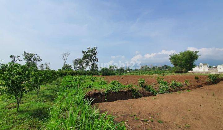 Tanah View Gunung Dekat Ar Rohmah Tahfidz Malang 1