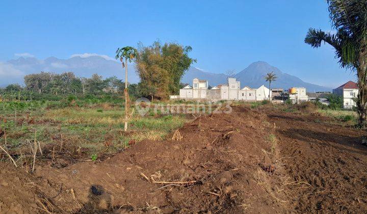 Tanah Dekat Kampus UIN 3 Kedokteran Malang, Area Pemukiman Padat Cocok Investasi 2