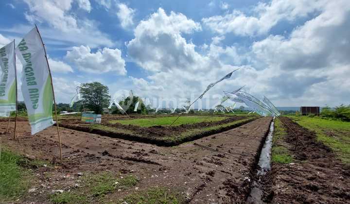Tanah Kavling Bandulan Kota Malang; untuk rumah lingkungan asri