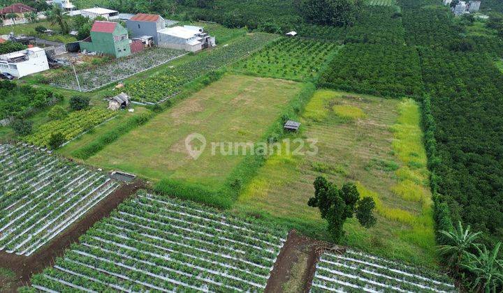 Tanah View Gunung Mepet Kota Malang, Dekat Kampus 2