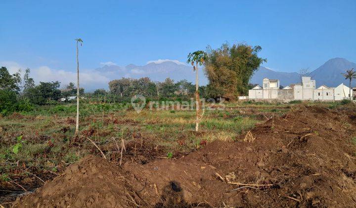 Dijual Cepat Tanah Kavling Dekat Kampus Kedokteran Uin 3 Malang 1