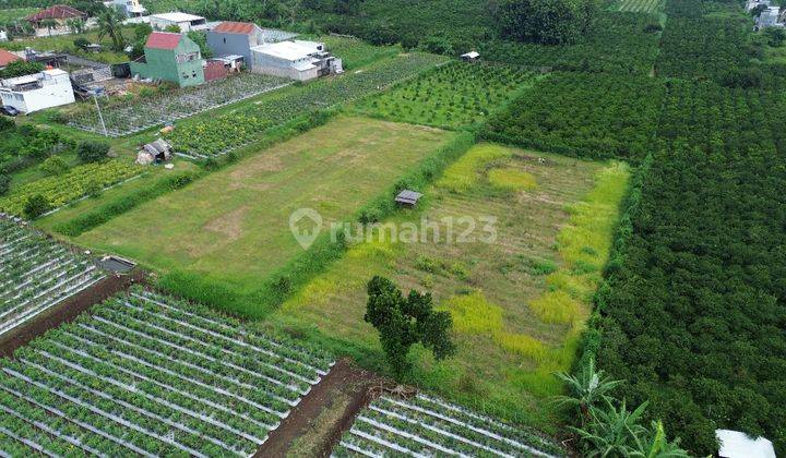 Tanah View Gunung Mepet Kota Malang, Dekat Kampus 1