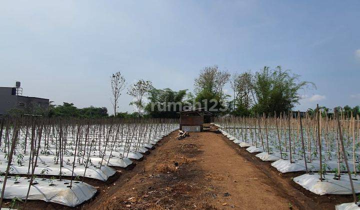 Tanah Mepet Kota Malang, Dekat Kampus Cocok Bangun Kos 2