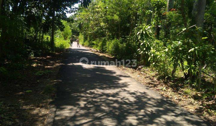 Tanah Lokasi Pinggir Jalan Bagus Dijadikan Hotel Dan Restoran 2