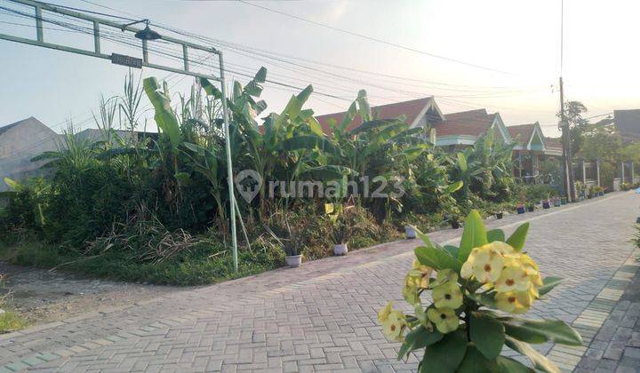 Tanah 572 m² Tanah Pekarangan Geluran Sidoarjo 1