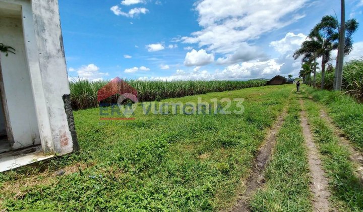 Dijual Tanah Kavling Area Pakisaji Lokasi Strategis Pinggir Jalan Dijual Tanah Kavling Area Pakisaji Lokasi Strategis Pinggir Jalan