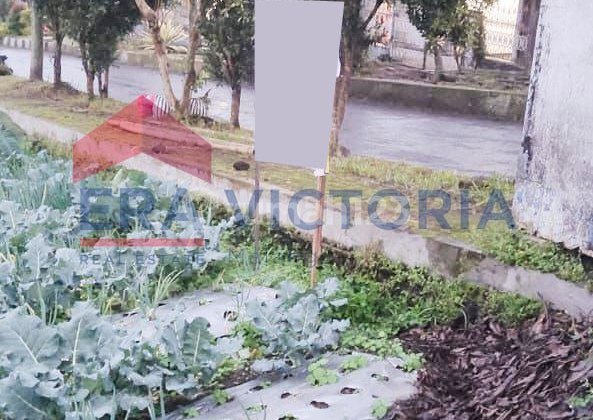 Dijual Tanah Sarangan Magetan, Lokasi Strategis Kawasan Wisata, Suasana Dingin Dan Sejuk, Cocok Untuk Dibangun Villa, Resto, Cafe, Dan Guesthouse 2