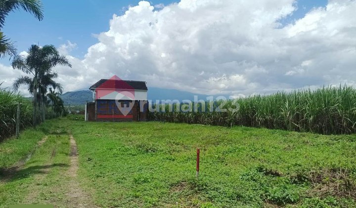 Dijual Tanah Kavling Area Pakisaji Dijual Tanah Kavling Area Pakisaji