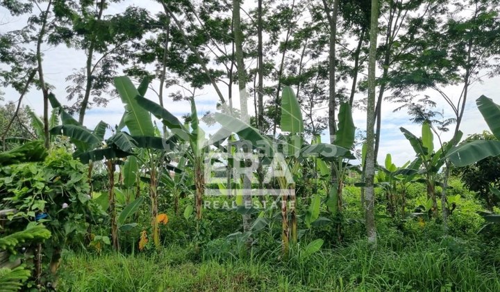 Dijual Tanah Karangbesuki Sukun, View Cantik Pegunungan Dan Udara Segar. Dekat Kampus Univ Brawijaya 2, Unmer, Machung, Elpico, Perum Austinville, Vpt Dijual Tanah Karangbesuki Sukun, View Cantik Pegunungan Dan Udara Segar. Dekat Kampus Univ Brawijaya 2, Unmer, Machung, Elpico, Perum Austinville, Vpt