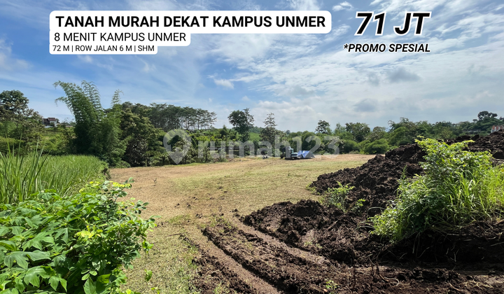 Tanah Murah Luas Area Wagir Udara Sejuk & Tenang Tanah Murah Luas Area Wagir Udara Sejuk & Tenang