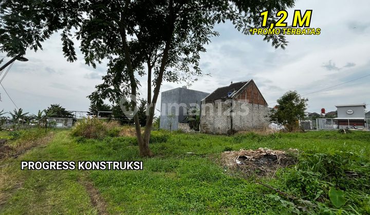 Dermo Boarding House Productive & Prospective Asset 2