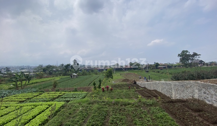 Metro Batu Villa, A Quiet and Cool Environment, Coveted by Many 2