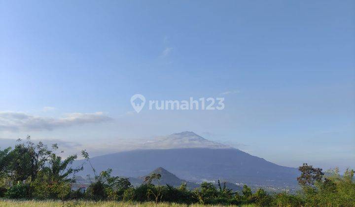 Tanah SHM Termurah Semalang Raya Dau Dekat Kampus Uin 3 2